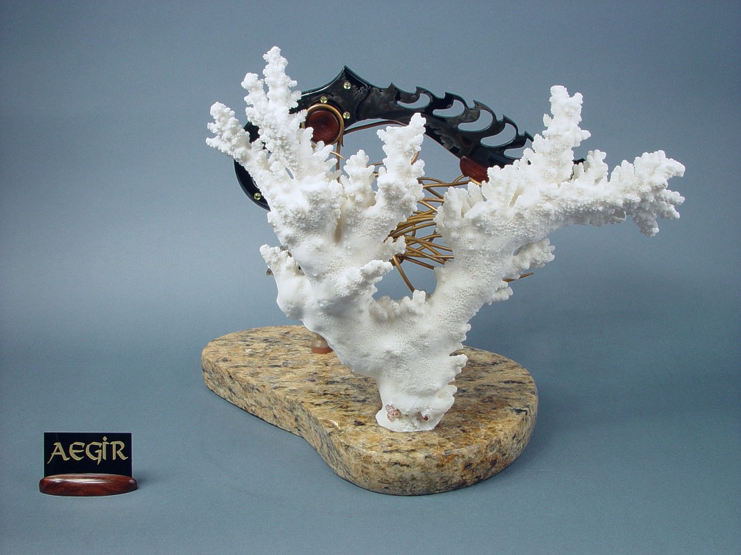 White Caribbean coral backdrop on "Aegir" knife sculpture