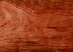 Bubinga hardwood sample